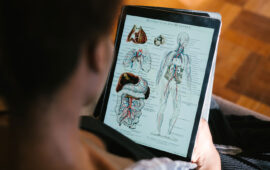 Las herramientas digitales en la educación