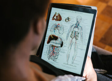 Las herramientas digitales en la educación