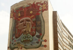 Resistencias al uso de las tecnologías en entornos virtuales en la Facultad de Medicina de la UNAM