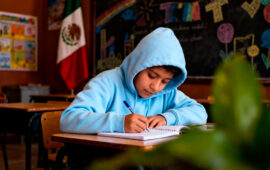 El docente de Lengua Materna, Español y su mediación curricular: entre la vida cotidiana y el pensamiento crítico como eje articulador de la NEM